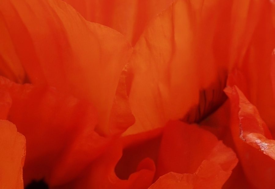 Galerie 4 - Bild 1 von Michael Weinmann