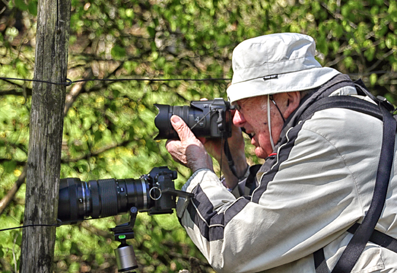 Auf Motivsuche im Wildpark Poing 30.04.2017 Auf Motivsuche im Wildpark Poing 30.04.2017