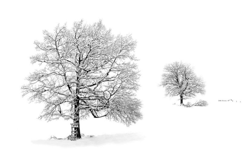 Martin Gabler - winterliche Nebelstimmung Martin Gabler - winterliche Nebelstimmung