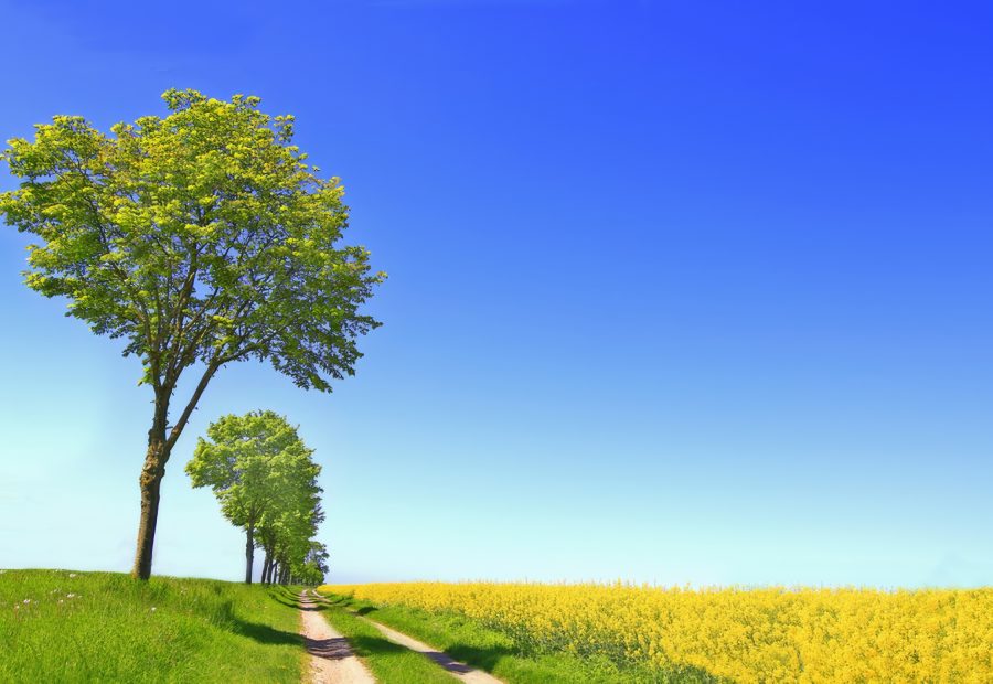 Galerie 1 - Bild 1 von Martin Gabler