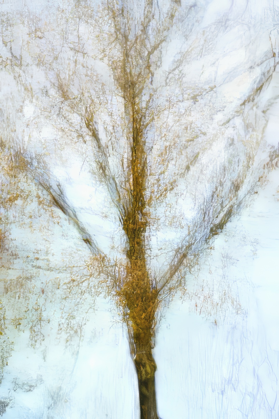 Galerie 4 - Bild 1 von Armin Paul-Proessler