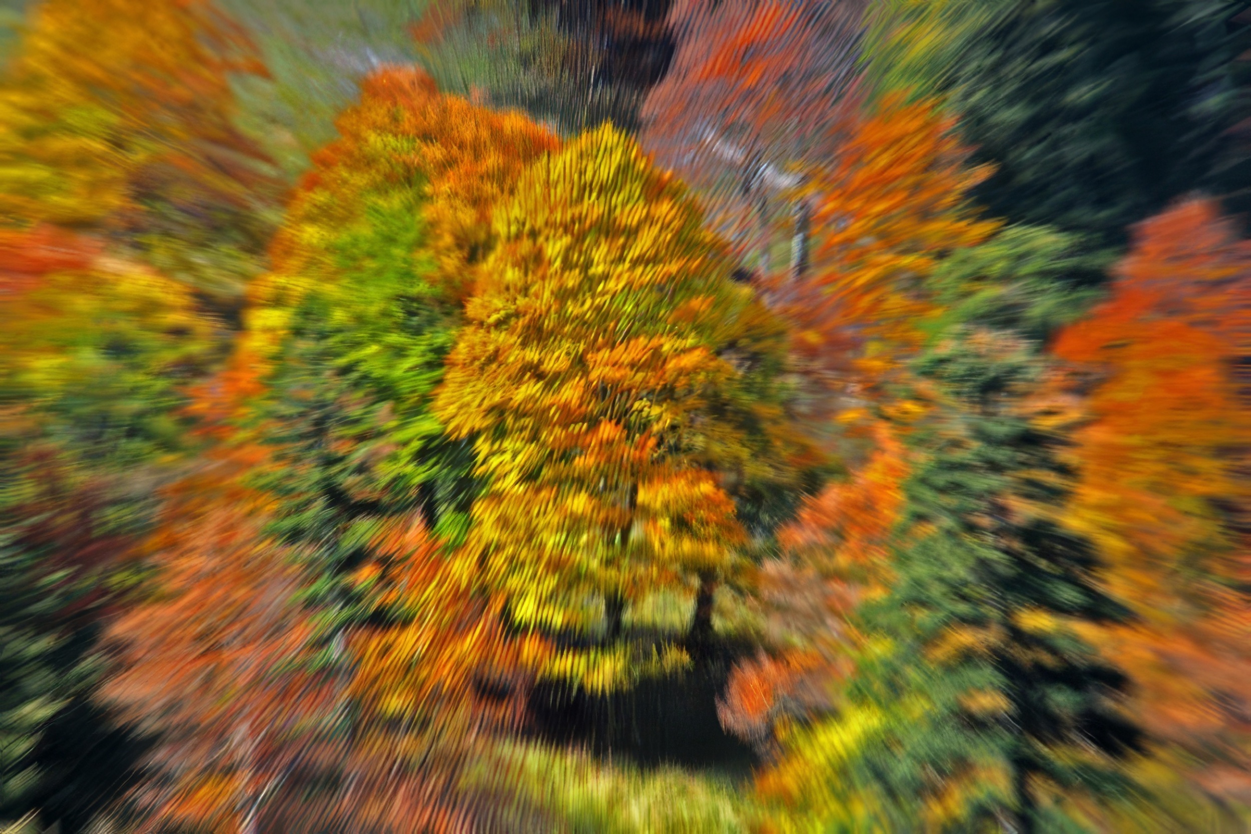 Galerie 1 - Bild 1 von Renate Genkel